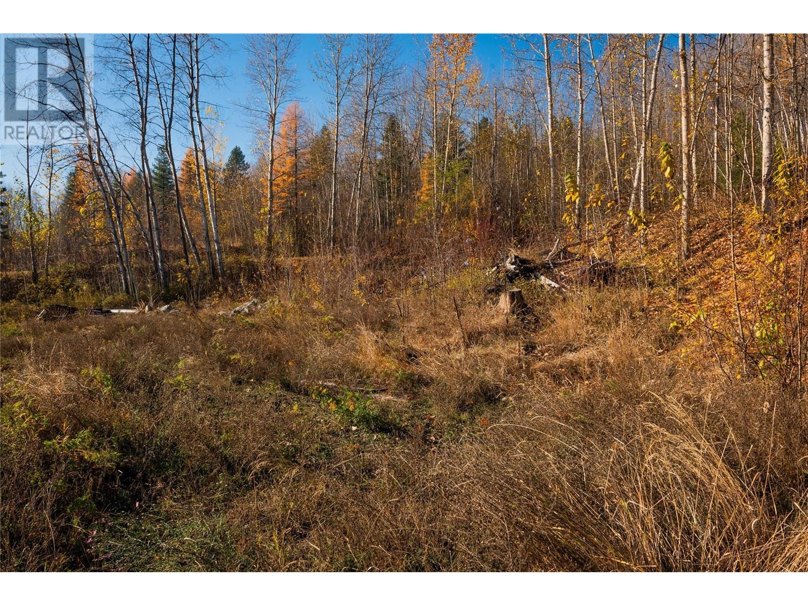 220 Whitman Way, Warfield, British Columbia  V1R 4T9 - Photo 5 - 10353944