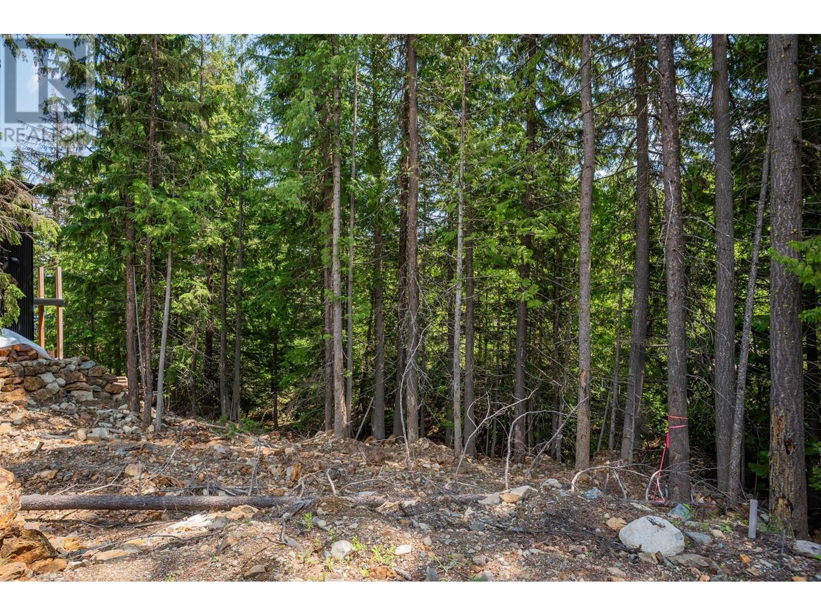 302 Larch Terr, Rossland, British Columbia  V0G 1Y0 - Photo 7 - 10353988
