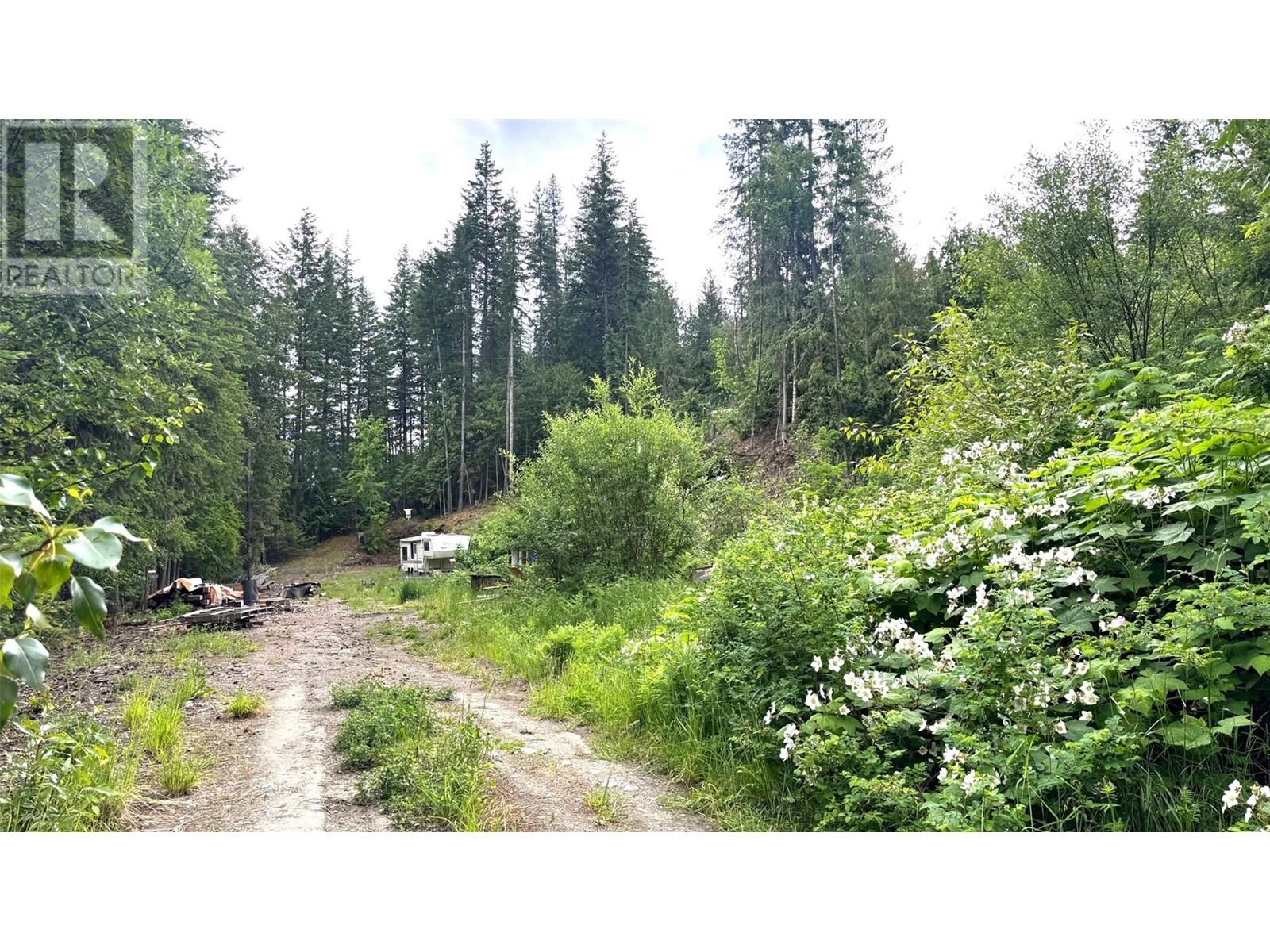 Lot 6 Balfour Avenue, Kaslo, British Columbia  V0G 1M0 - Photo 5 - 10354008