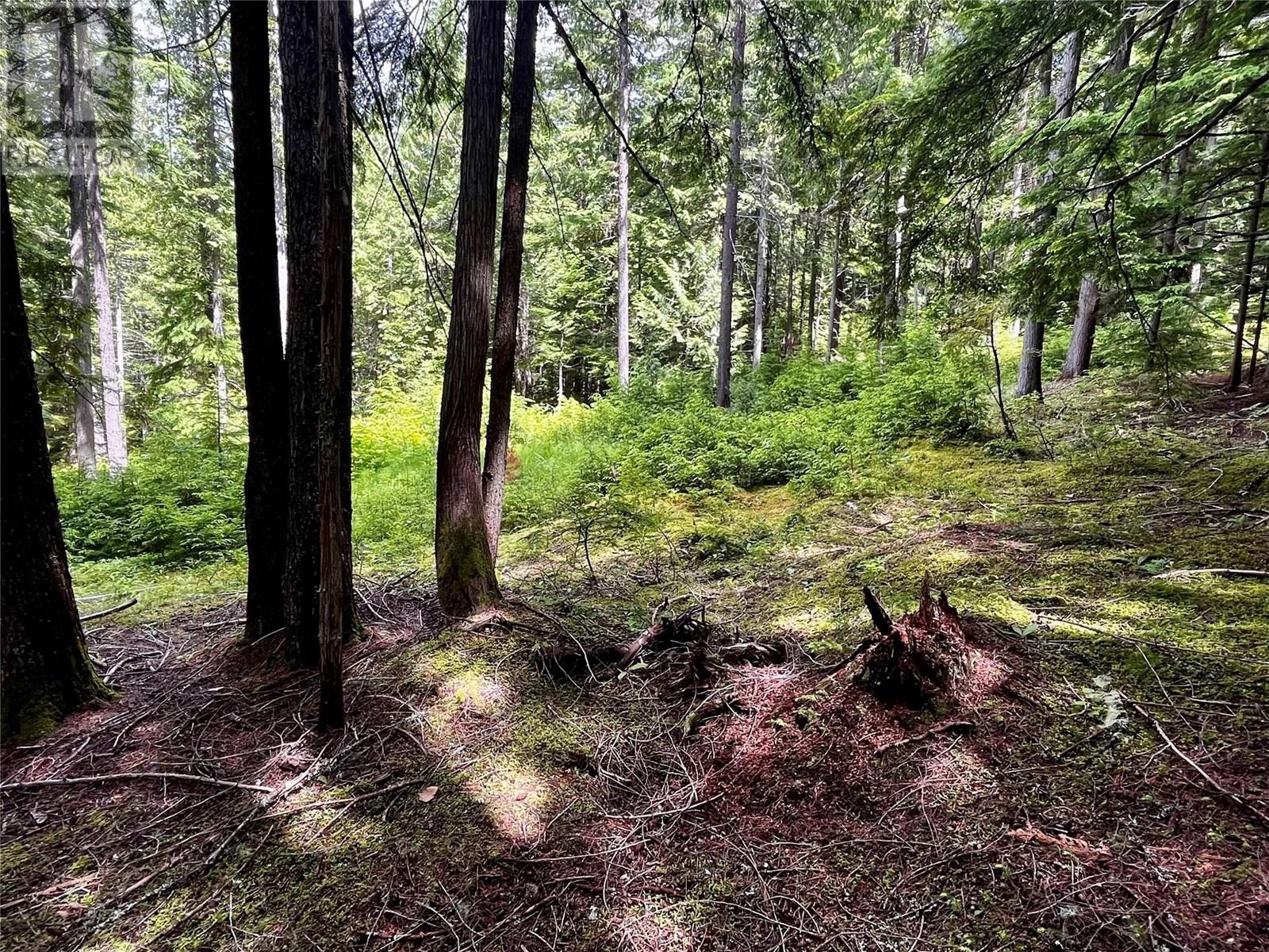 Red Mountain Road Lot# 2, Silverton, British Columbia  V0G 2B0 - Photo 10 - 10353195