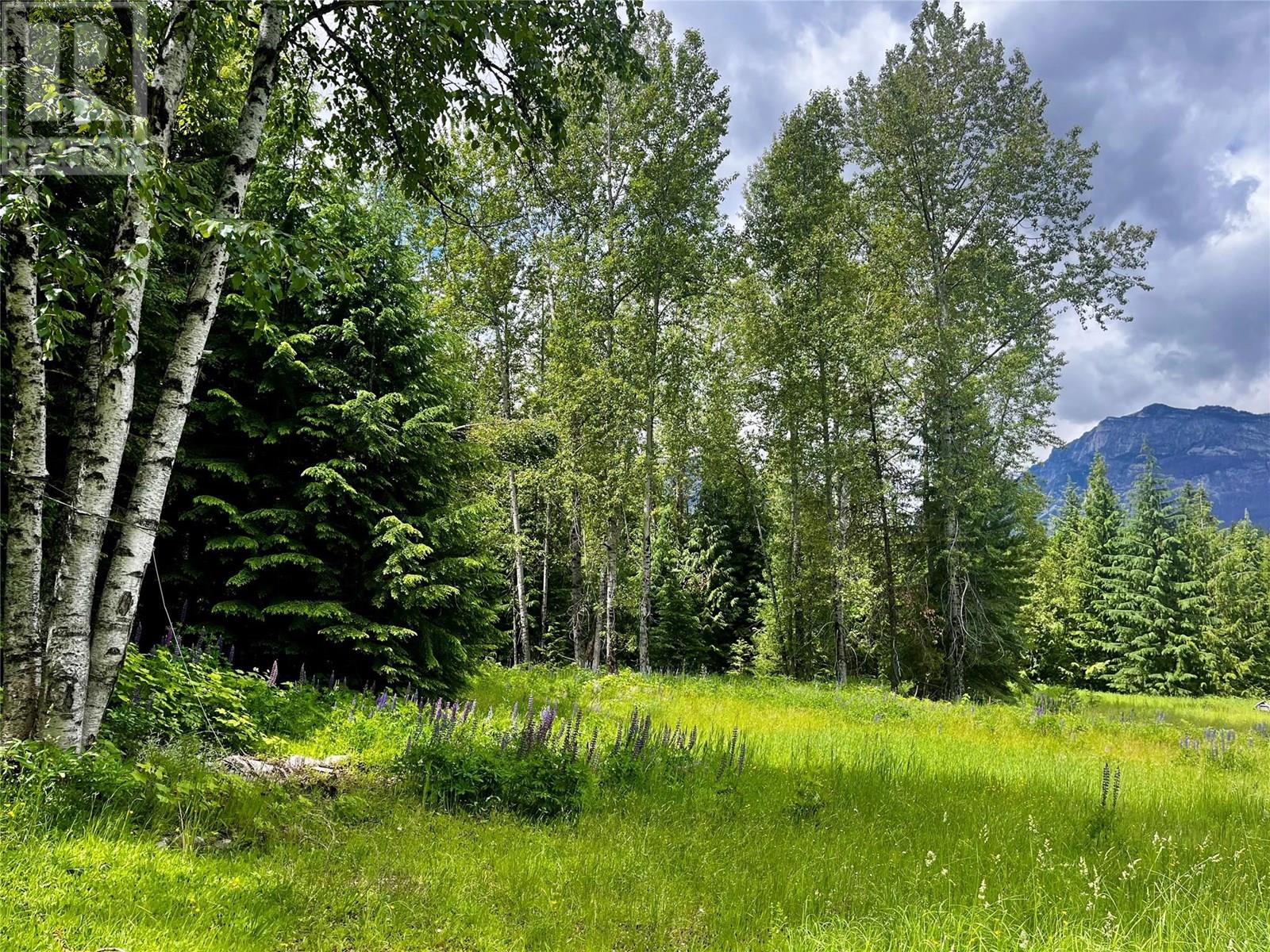 Red Mountain Road Lot# 2, Silverton, British Columbia  V0G 2B0 - Photo 11 - 10353195