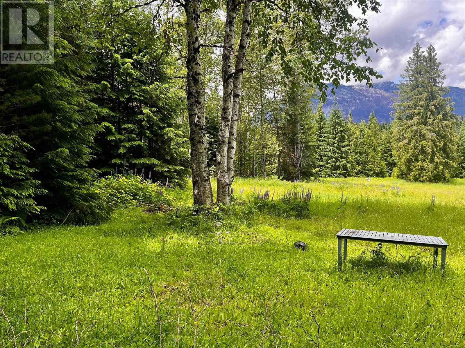 Red Mountain Road Lot# 2, Silverton, British Columbia  V0G 2B0 - Photo 12 - 10353195