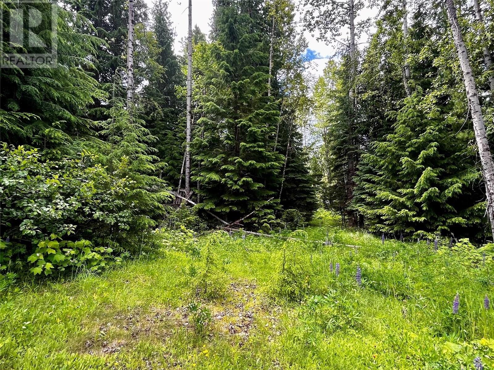 Red Mountain Road Lot# 2, Silverton, British Columbia  V0G 2B0 - Photo 13 - 10353195
