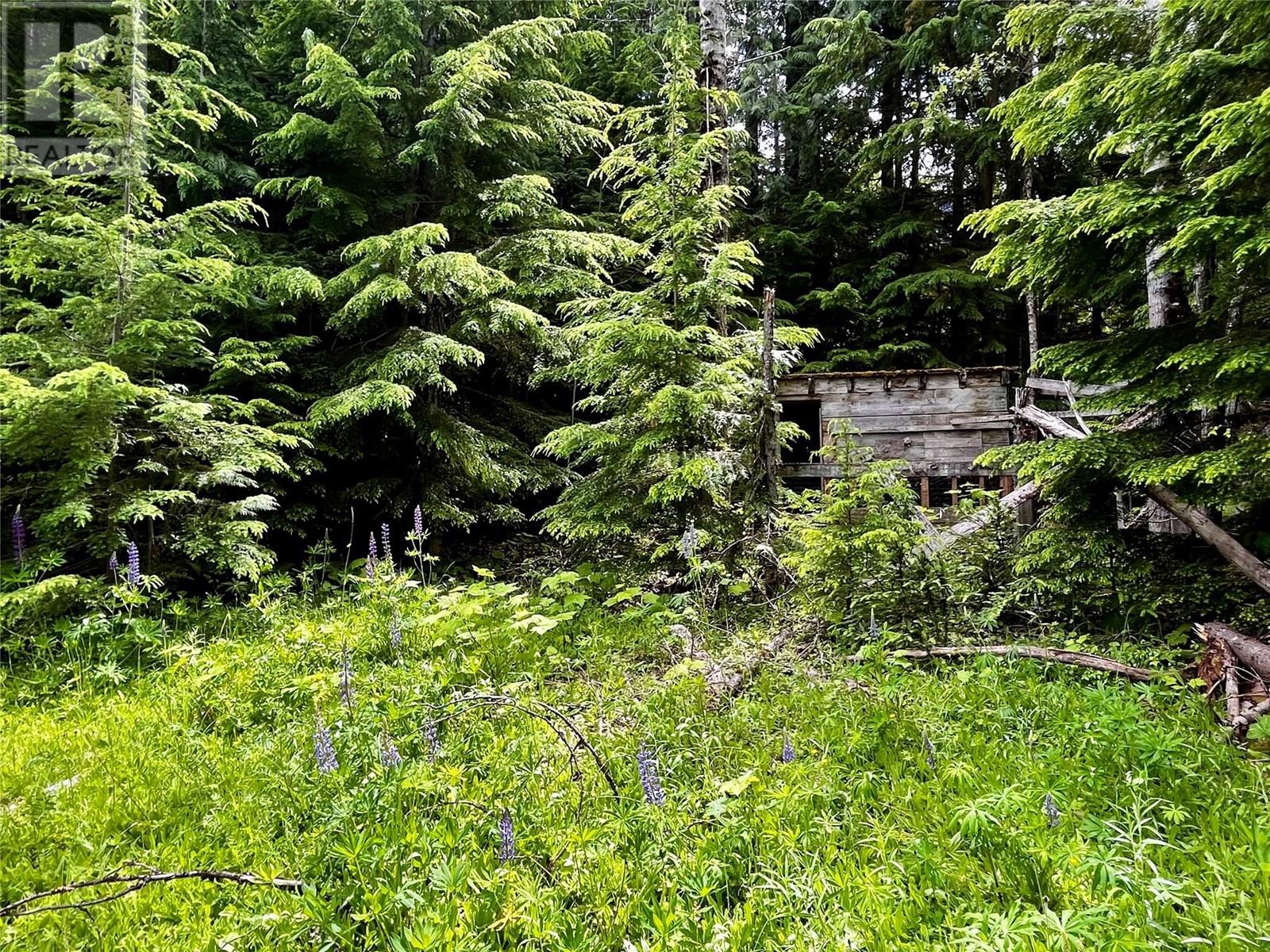 Red Mountain Road Lot# 2, Silverton, British Columbia  V0G 2B0 - Photo 14 - 10353195