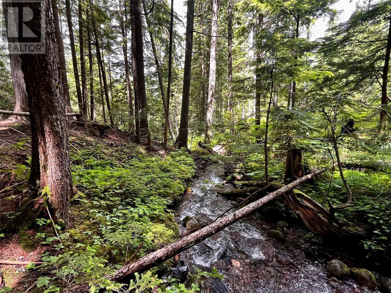 Red Mountain Road Lot# 2, Silverton, British Columbia  V0G 2B0 - Photo 17 - 10353195