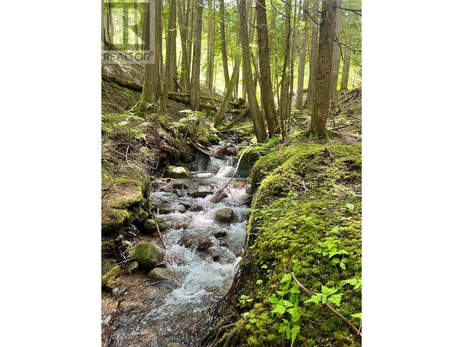 Red Mountain Road Lot# 2, Silverton, British Columbia  V0G 2B0 - Photo 21 - 10353195