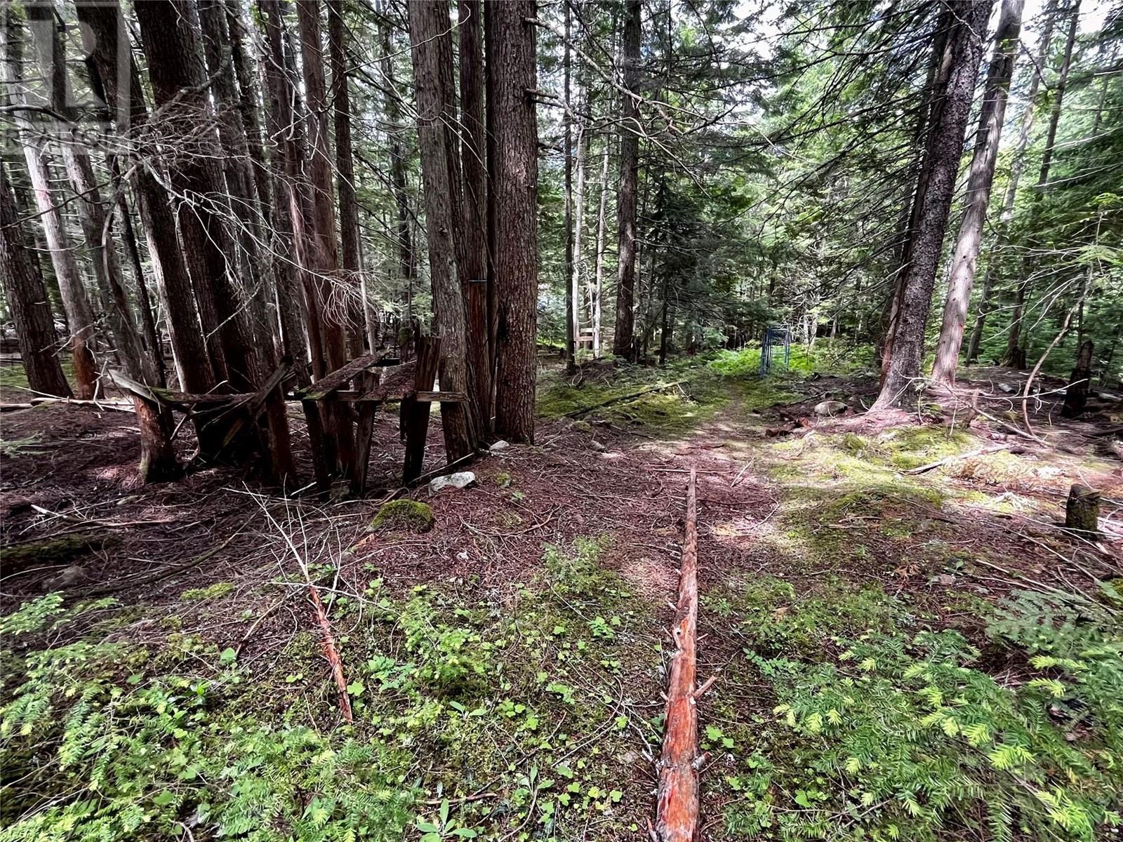 Red Mountain Road Lot# 2, Silverton, British Columbia  V0G 2B0 - Photo 22 - 10353195