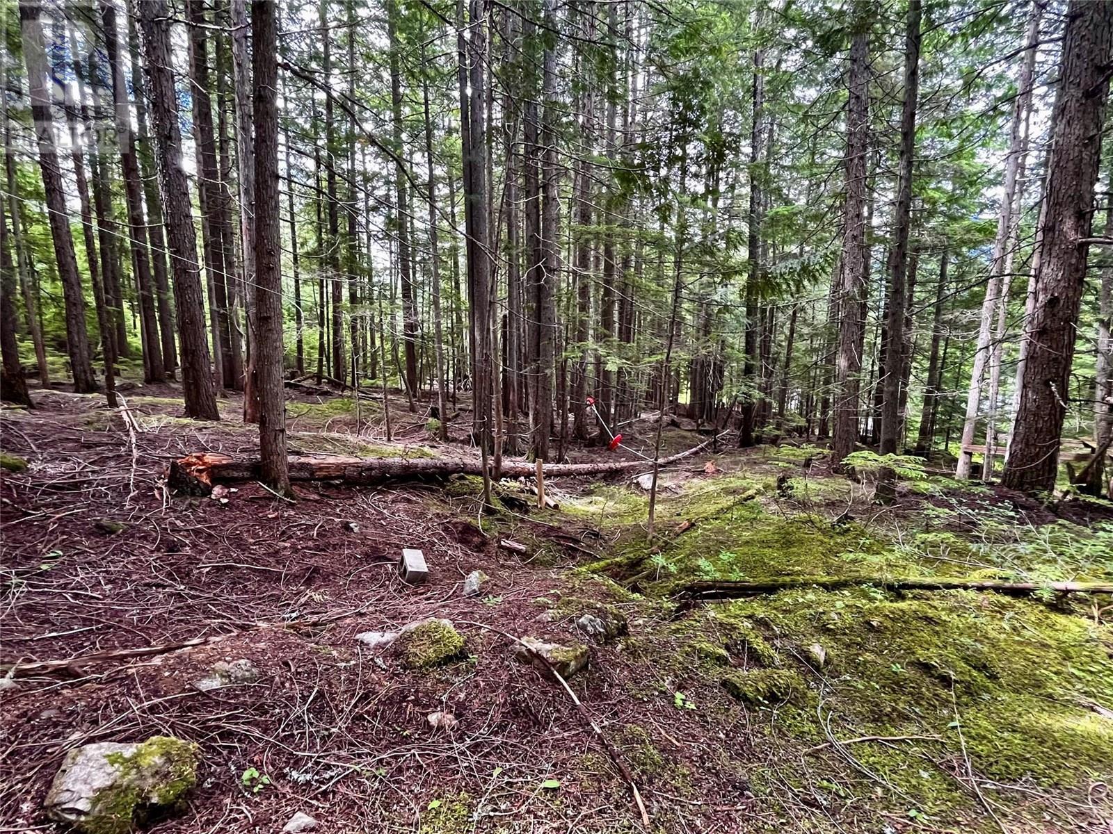Red Mountain Road Lot# 2, Silverton, British Columbia  V0G 2B0 - Photo 24 - 10353195