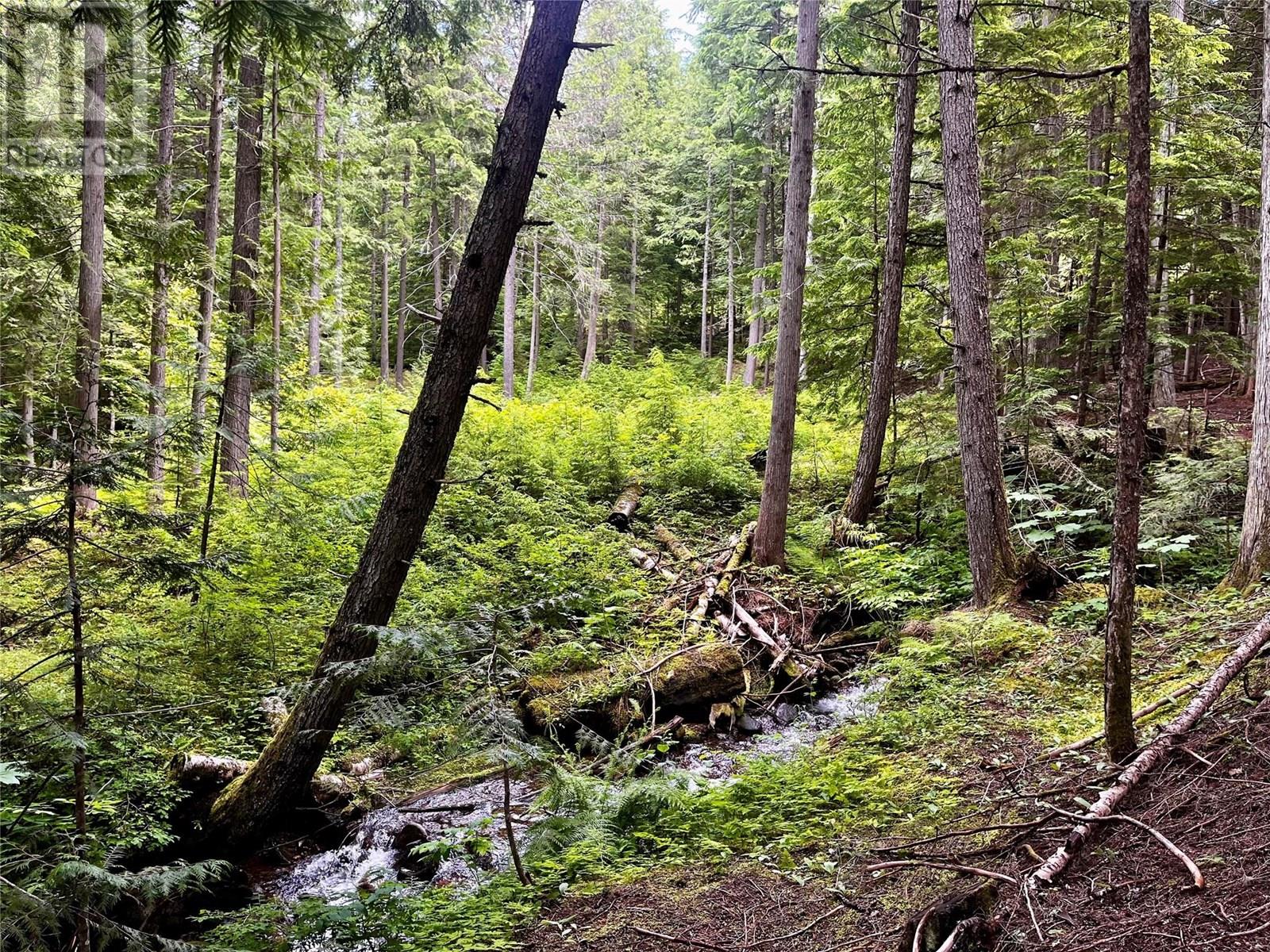 Red Mountain Road Lot# 2, Silverton, British Columbia  V0G 2B0 - Photo 25 - 10353195