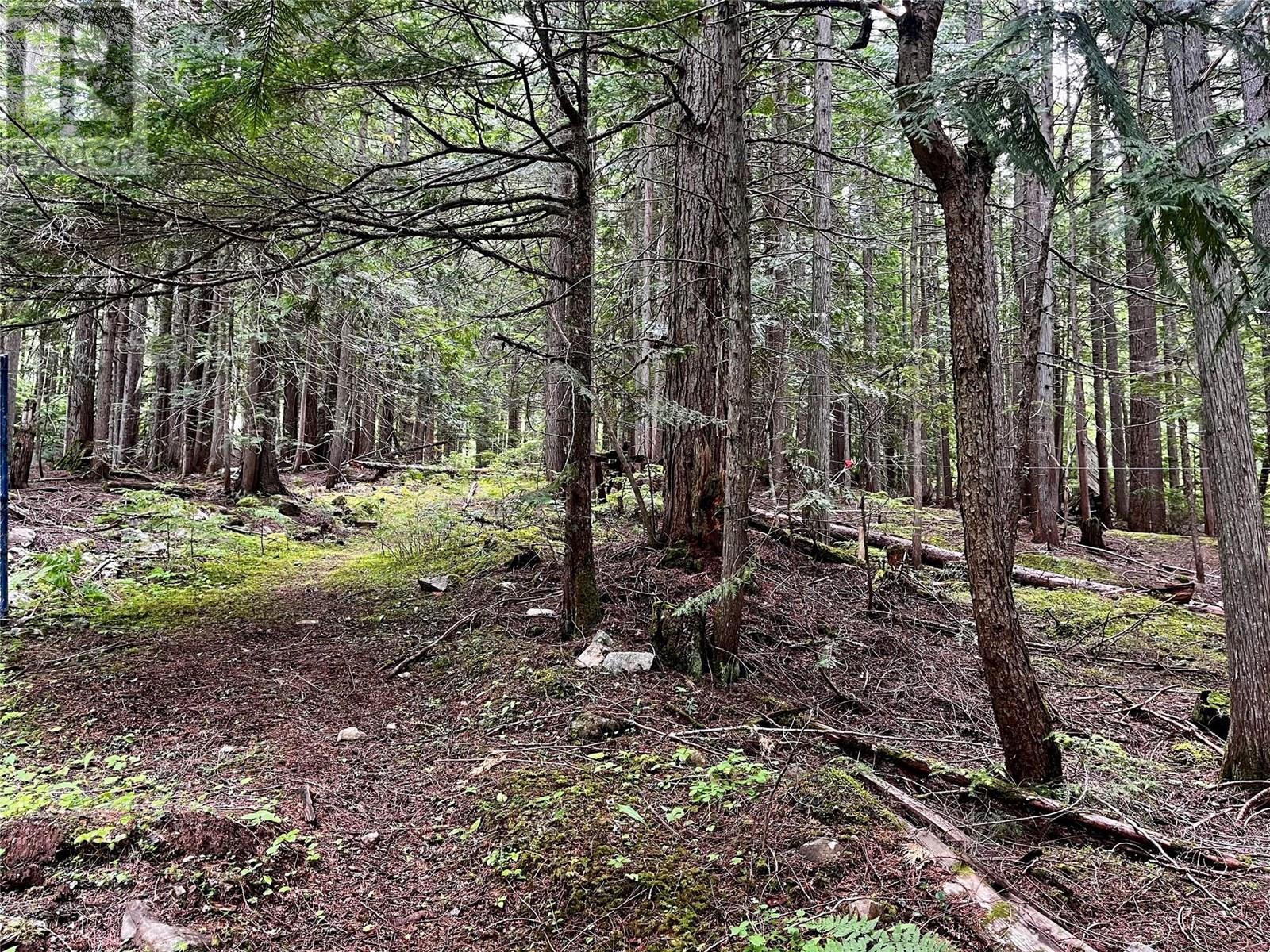 Red Mountain Road Lot# 2, Silverton, British Columbia  V0G 2B0 - Photo 26 - 10353195