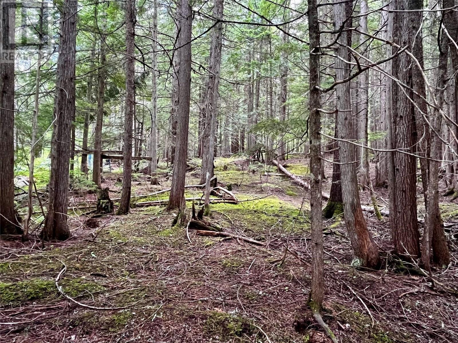 Red Mountain Road Lot# 2, Silverton, British Columbia  V0G 2B0 - Photo 27 - 10353195