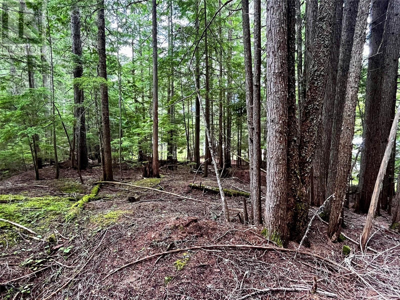 Red Mountain Road Lot# 2, Silverton, British Columbia  V0G 2B0 - Photo 28 - 10353195