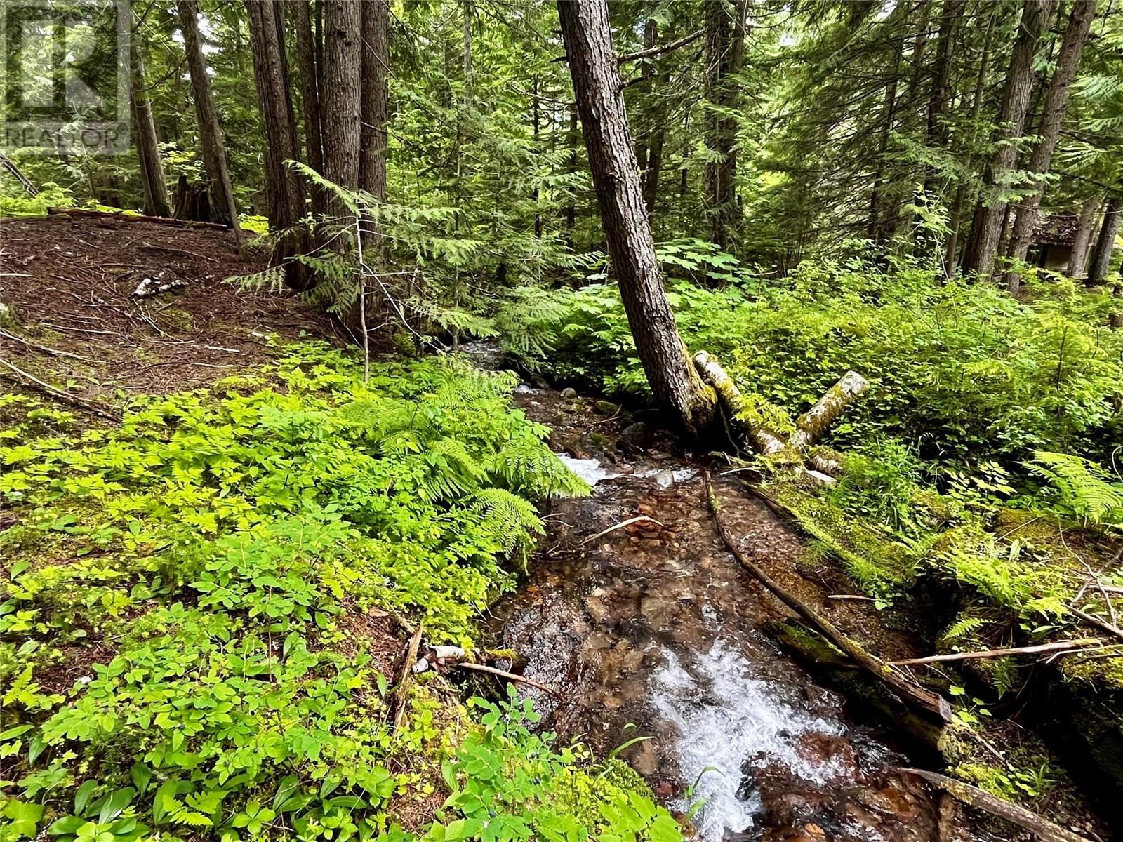 Red Mountain Road Lot# 2, Silverton, British Columbia  V0G 2B0 - Photo 30 - 10353195