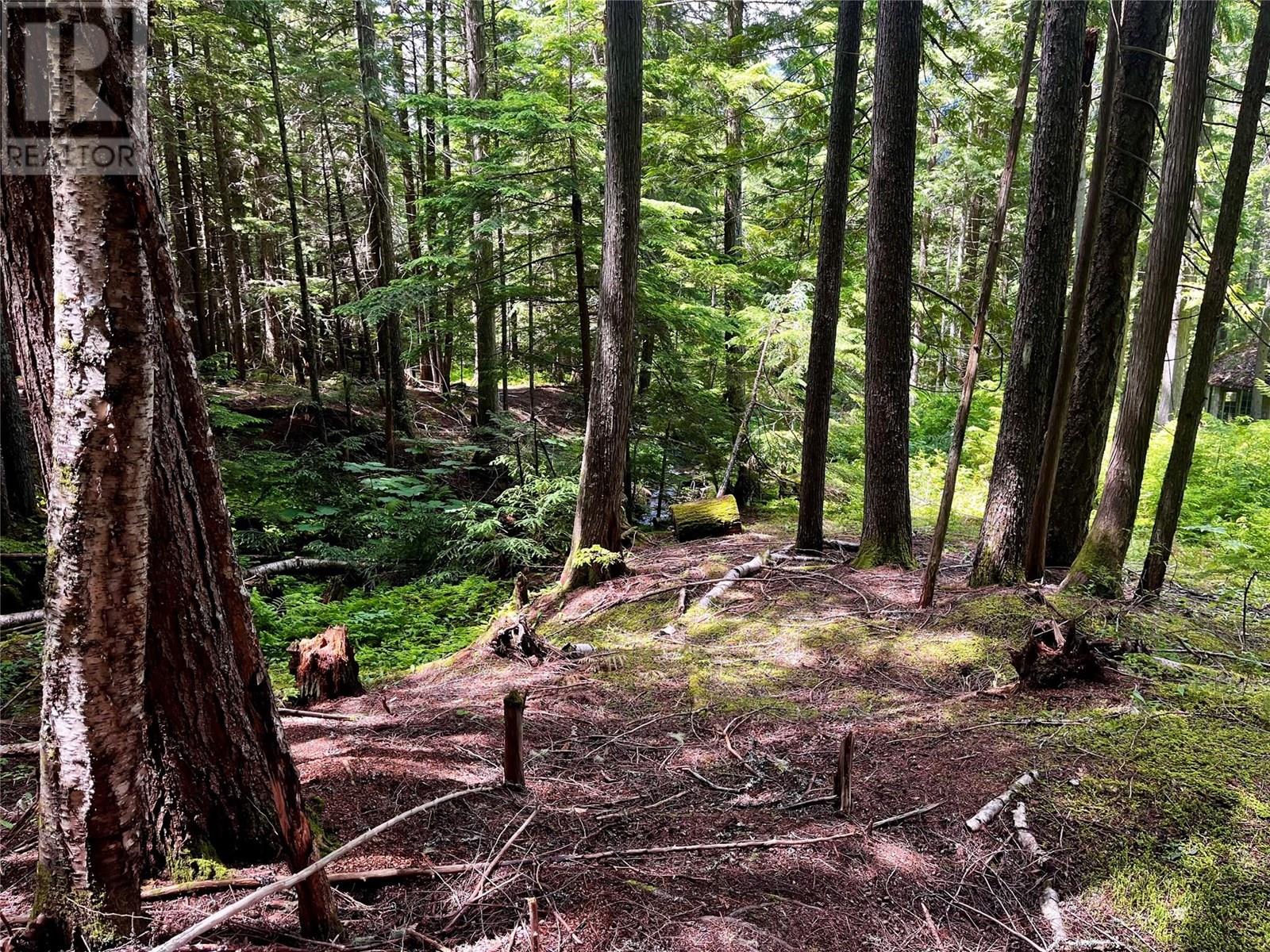 Red Mountain Road Lot# 2, Silverton, British Columbia  V0G 2B0 - Photo 32 - 10353195