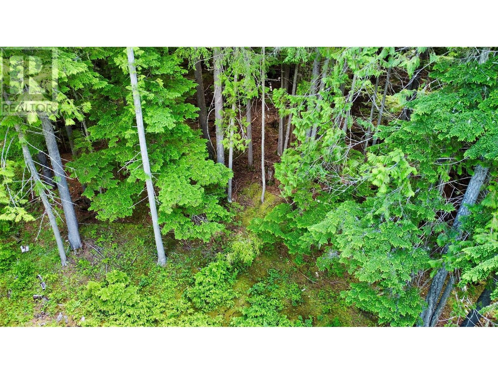 Red Mountain Road Lot# 2, Silverton, British Columbia  V0G 2B0 - Photo 35 - 10353195