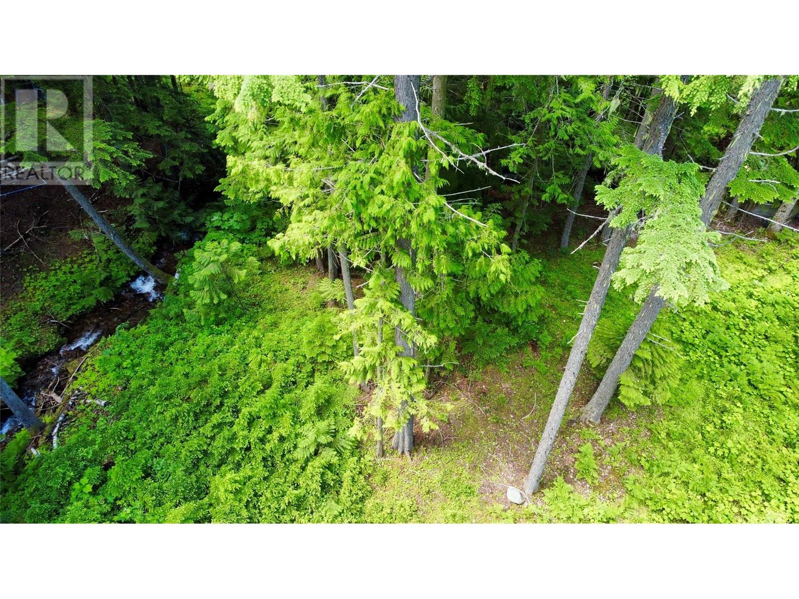 Red Mountain Road Lot# 2, Silverton, British Columbia  V0G 2B0 - Photo 36 - 10353195