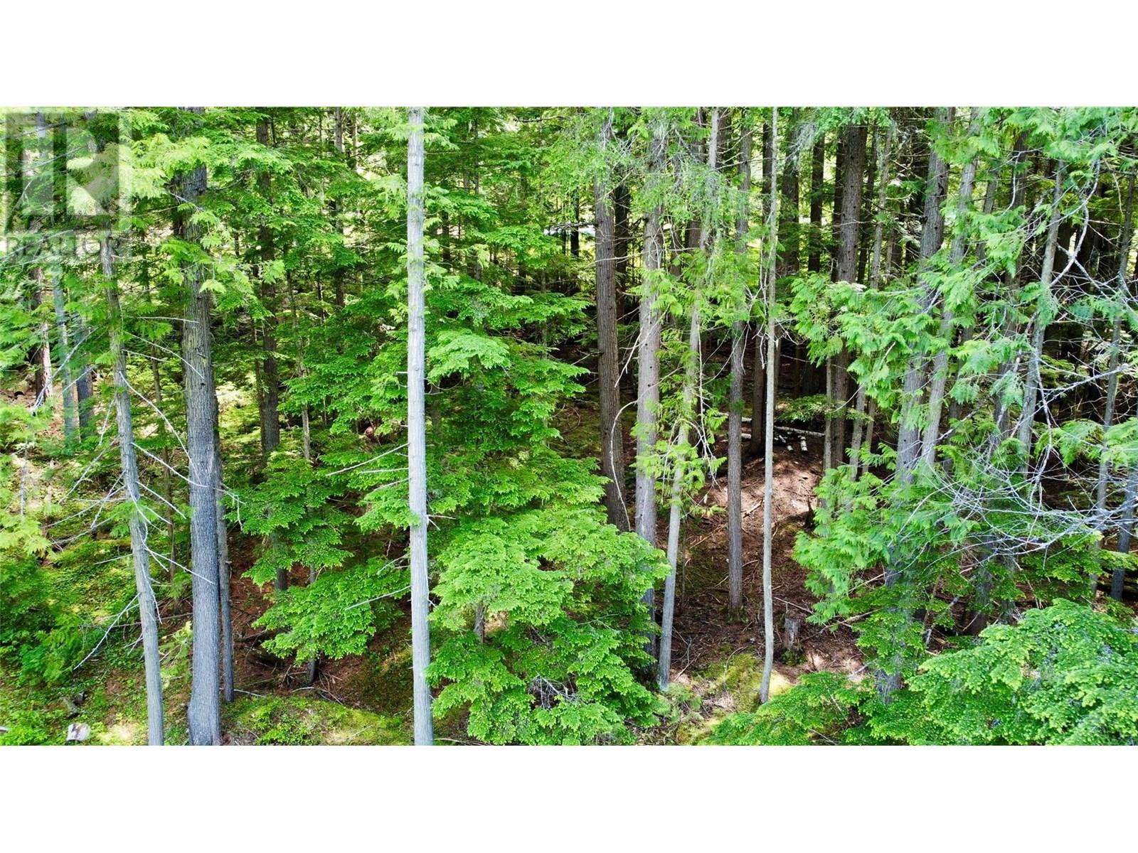 Red Mountain Road Lot# 2, Silverton, British Columbia  V0G 2B0 - Photo 38 - 10353195