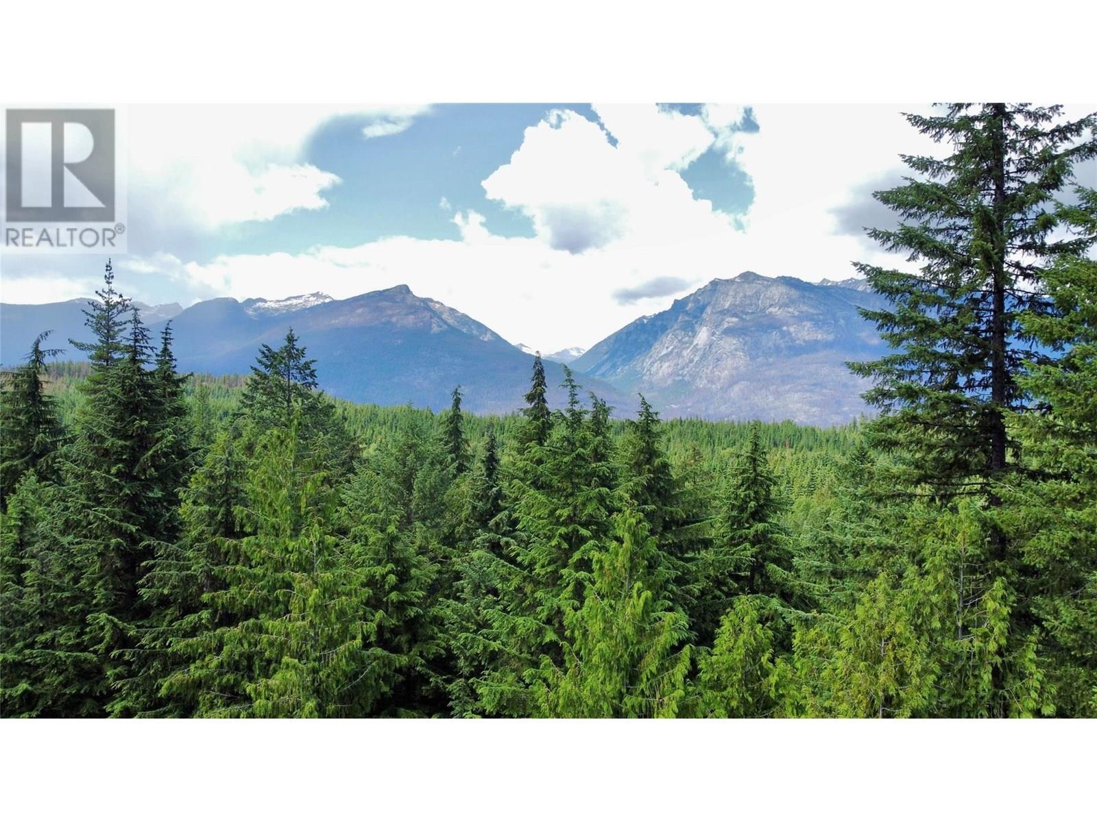 Red Mountain Road Lot# 2, Silverton, British Columbia  V0G 2B0 - Photo 39 - 10353195