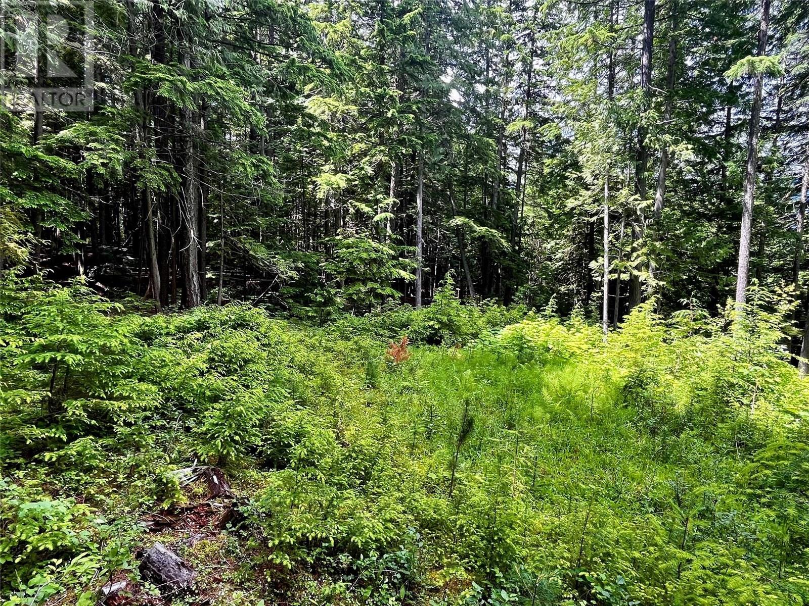Red Mountain Road Lot# 2, Silverton, British Columbia  V0G 2B0 - Photo 8 - 10353195