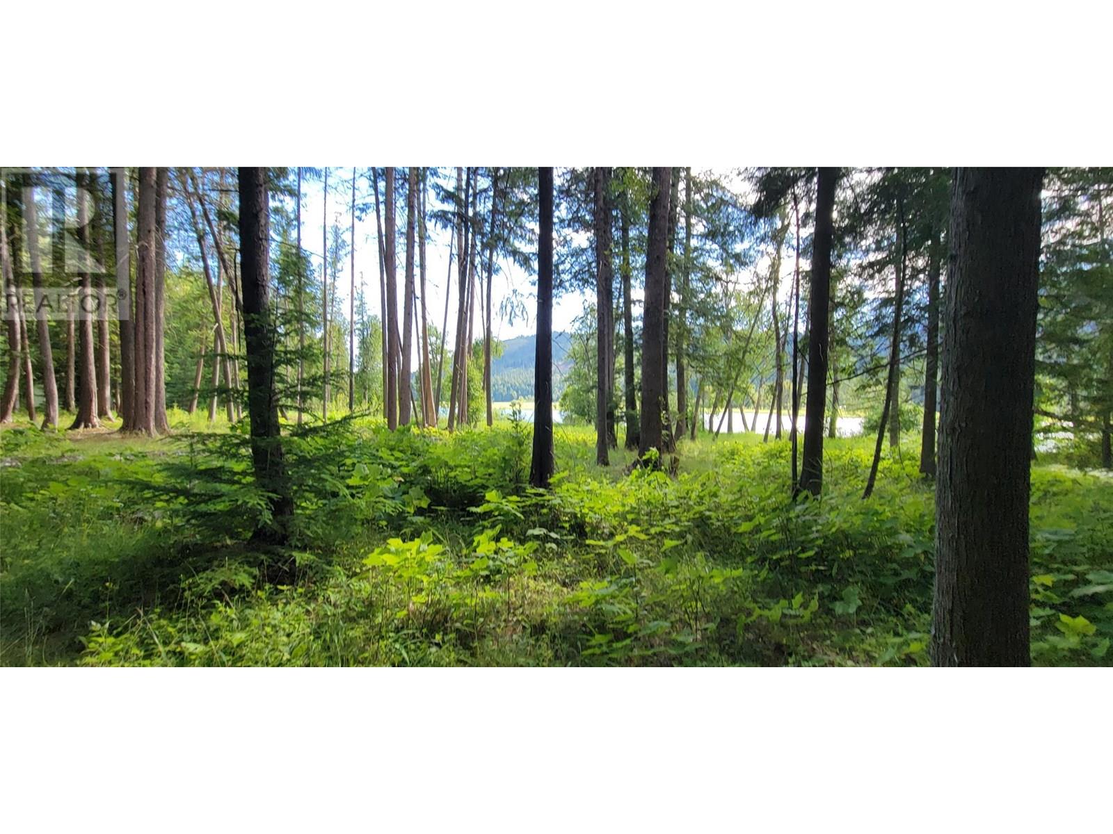 Pcl B Copeland Road, Slocan, British Columbia  V0G 2C0 - Photo 15 - 10354660
