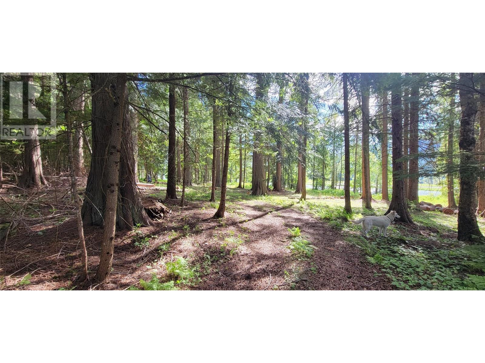 Pcl B Copeland Road, Slocan, British Columbia  V0G 2C0 - Photo 16 - 10354660