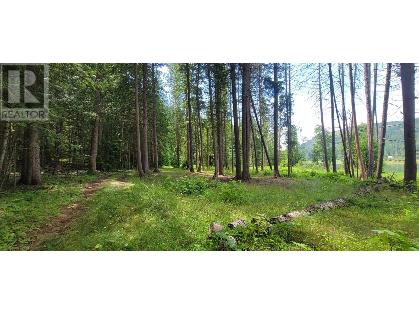 Pcl B Copeland Road, Slocan, British Columbia  V0G 2C0 - Photo 17 - 10354660