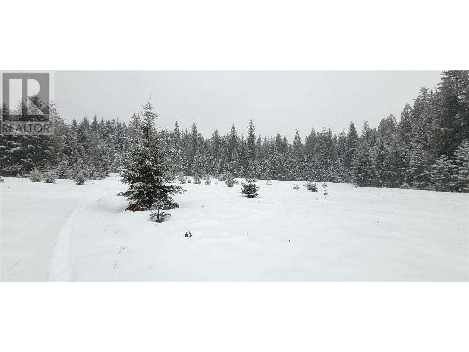 Pcl B Copeland Road, Slocan, British Columbia  V0G 2C0 - Photo 28 - 10354660