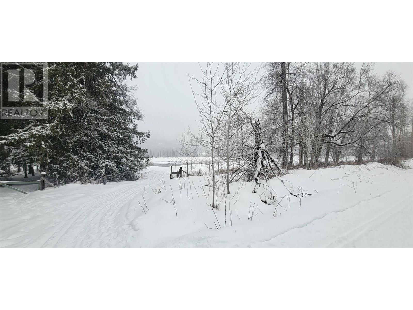 Pcl B Copeland Road, Slocan, British Columbia  V0G 2C0 - Photo 29 - 10354660