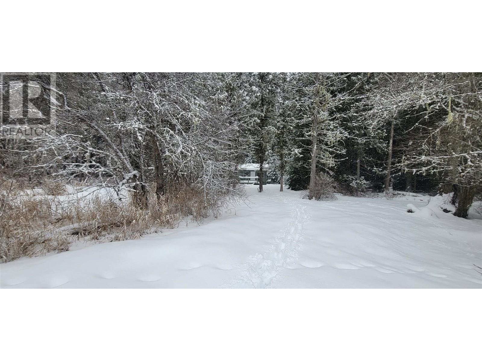 Pcl B Copeland Road, Slocan, British Columbia  V0G 2C0 - Photo 32 - 10354660
