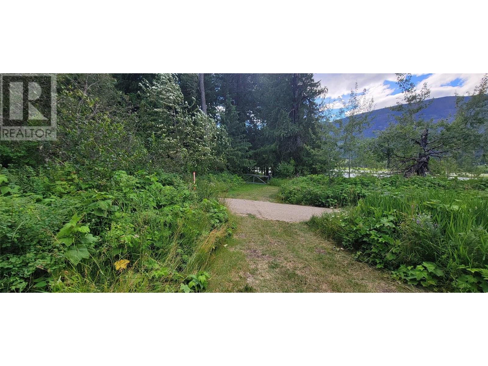 Pcl B Copeland Road, Slocan, British Columbia  V0G 2C0 - Photo 37 - 10354660