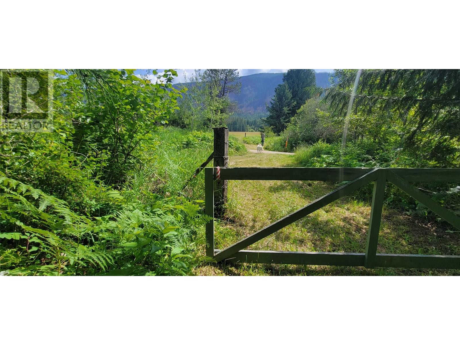 Pcl B Copeland Road, Slocan, British Columbia  V0G 2C0 - Photo 6 - 10354660