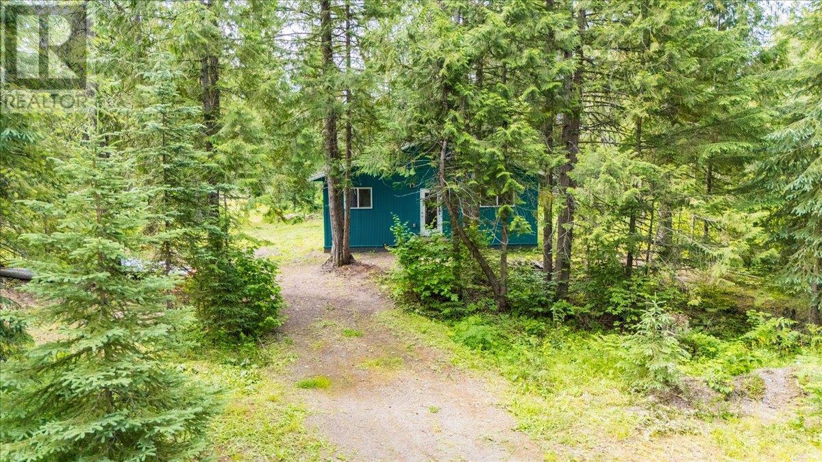 116 Liness Road, Salmo, British Columbia  V0G 1Z0 - Photo 17 - 10354881