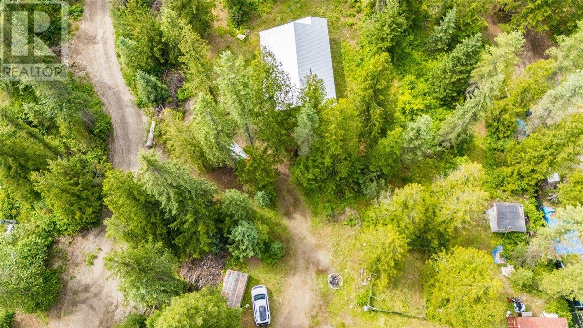 116 Liness Road, Salmo, British Columbia  V0G 1Z0 - Photo 18 - 10354881