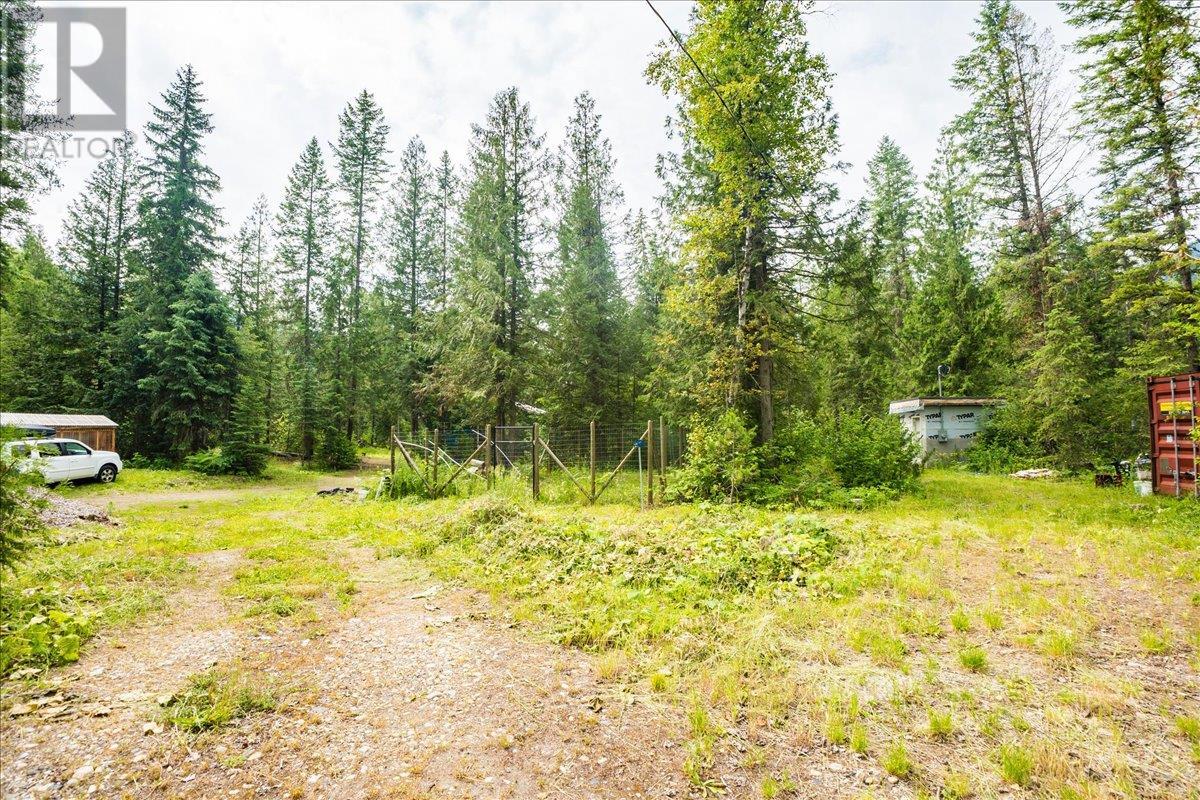 116 Liness Road, Salmo, British Columbia  V0G 1Z0 - Photo 19 - 10354881