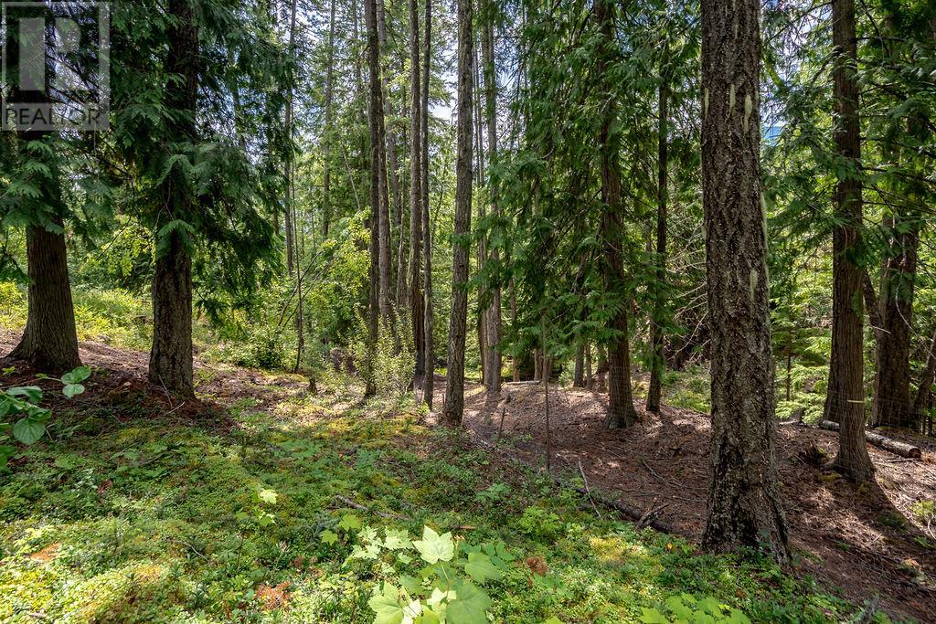 6105 Pine Ridge Road, Kaslo, British Columbia  V0G 1M0 - Photo 58 - 10354572