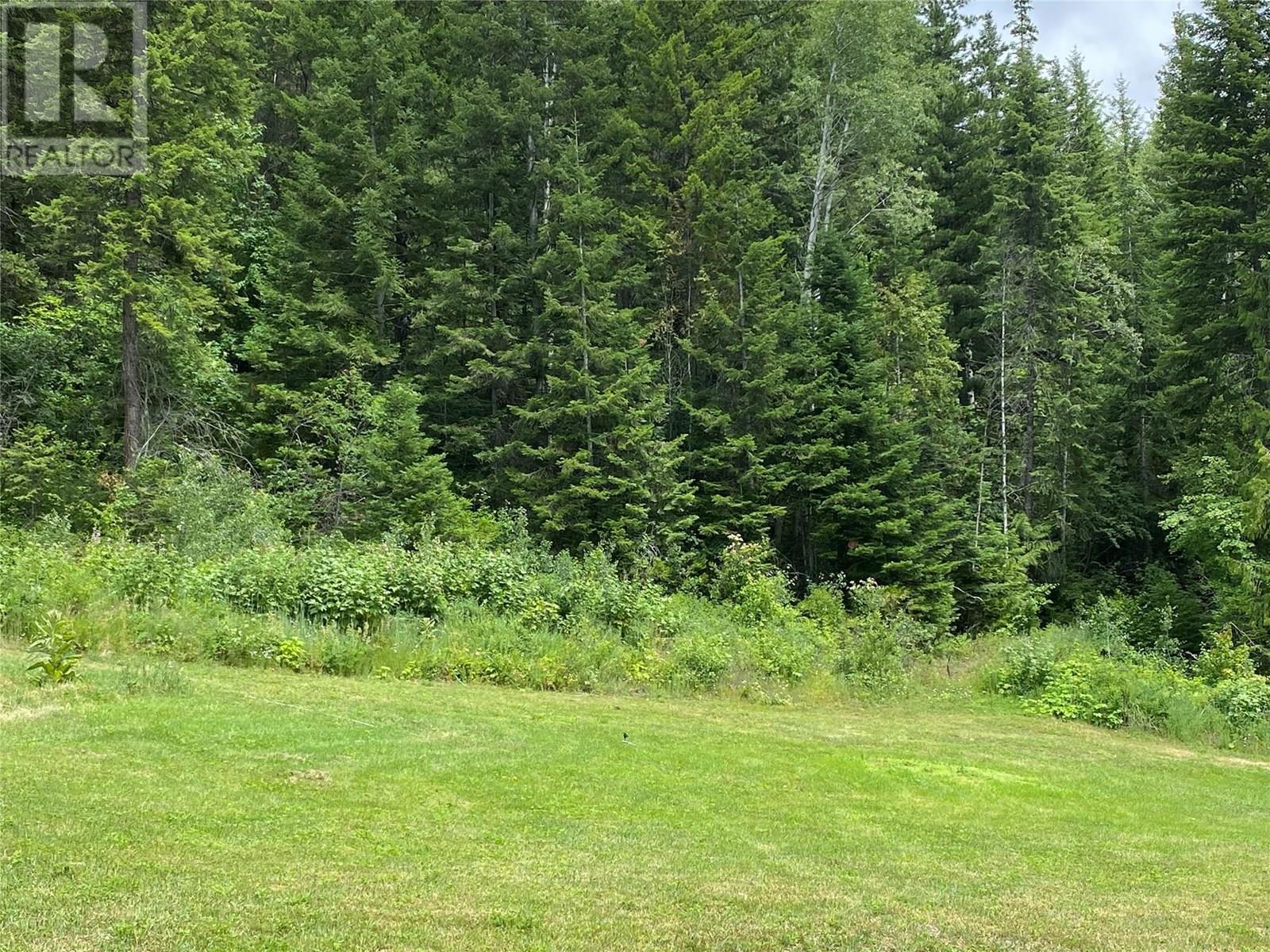 4405 Erie Ross-Spur Road, Salmo, British Columbia  V0G 1L1 - Photo 52 - 10354021