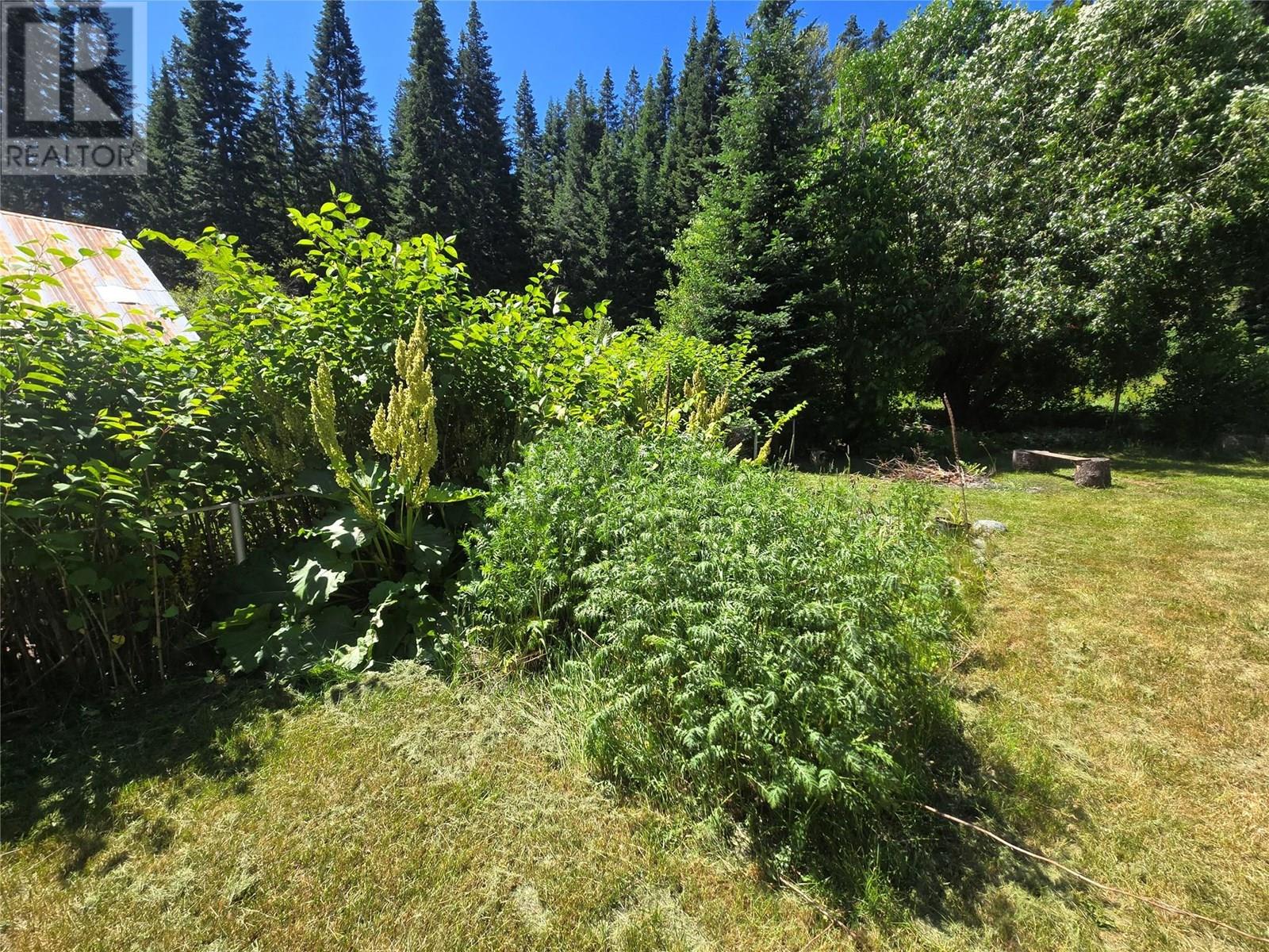 303 Fir Street, Ymir, British Columbia  V0G 2K0 - Photo 29 - 10355138