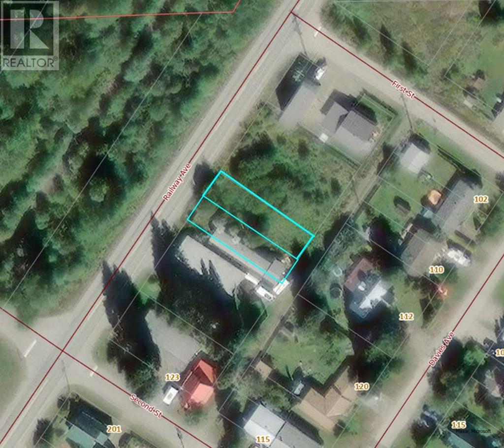 115 Railway Avenue, Salmo, British Columbia  V0G 1Z0 - Photo 47 - 10354950