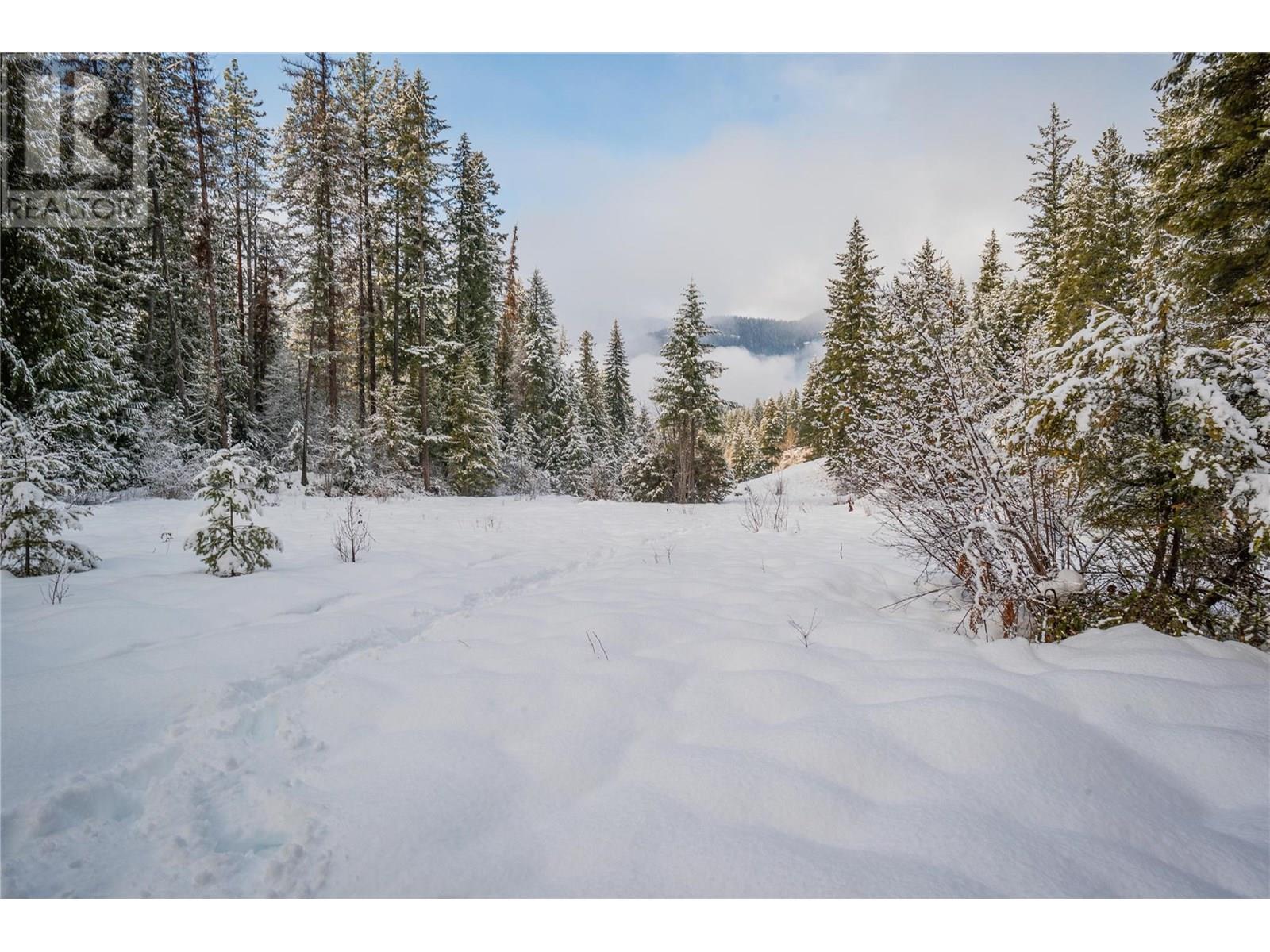 6061 & Lot 7 Forest Road, Winlaw, British Columbia  V0G 2J0 - Photo 26 - 10355782