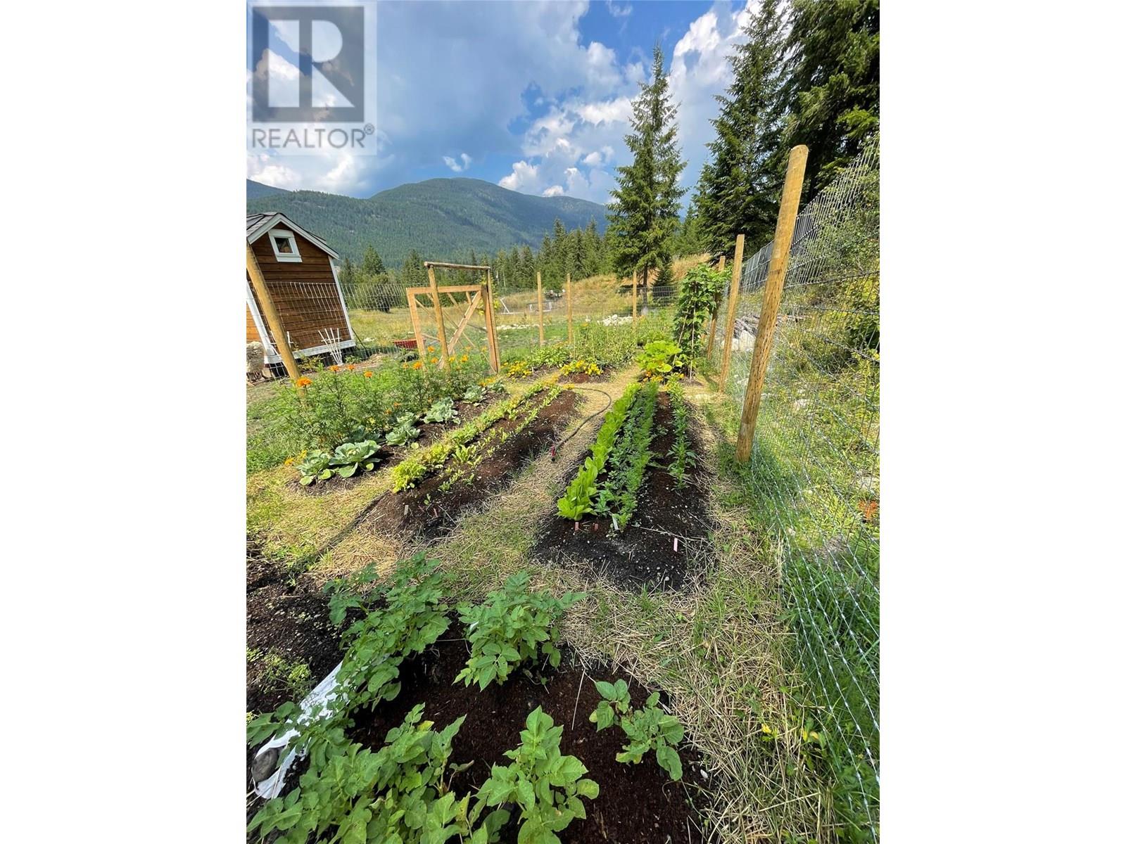 6061 & Lot 7 Forest Road, Winlaw, British Columbia  V0G 2J0 - Photo 4 - 10355782