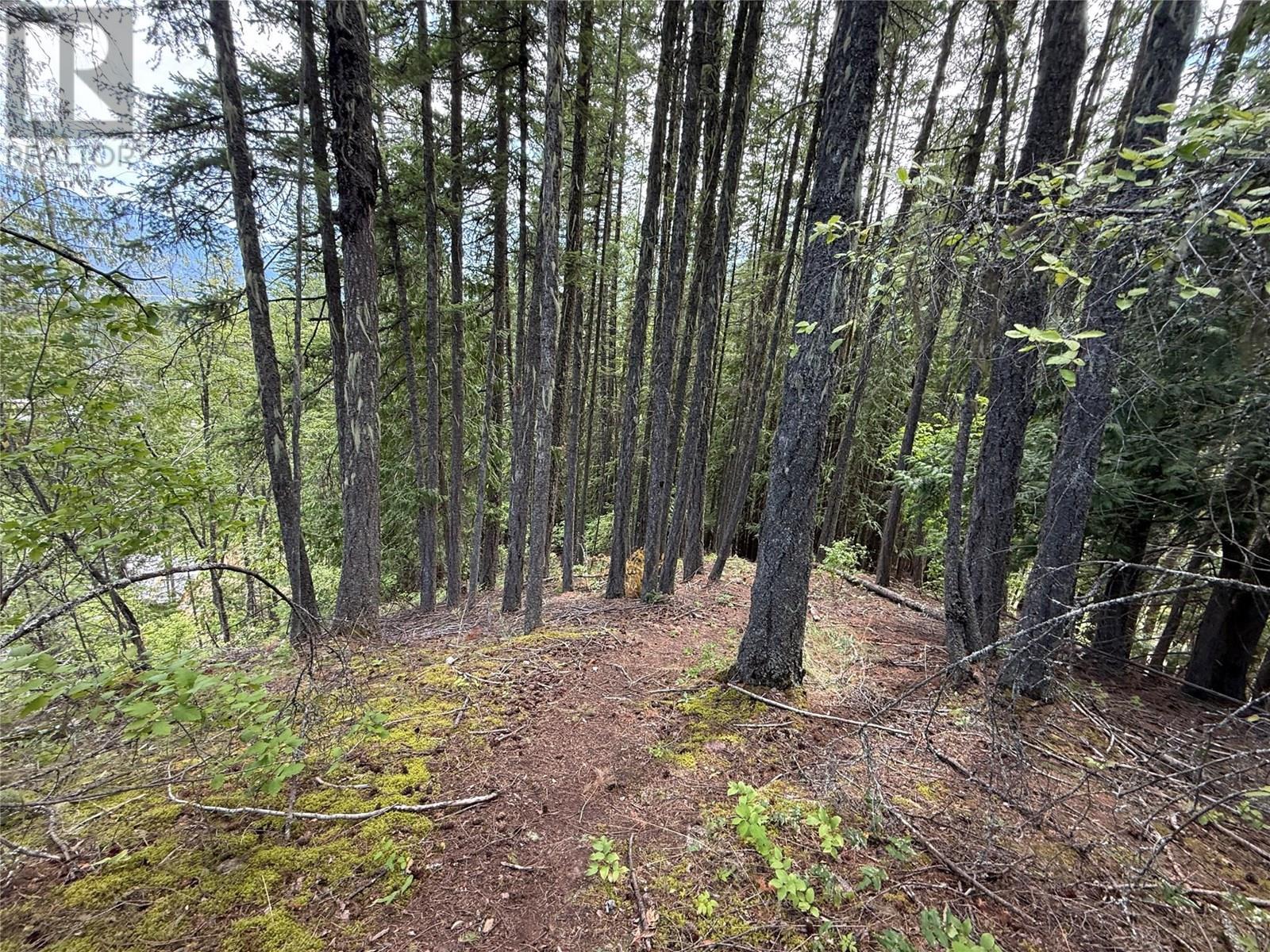 B Avenue Lot# 16,17,18, Kaslo, British Columbia  V0G 1M0 - Photo 4 - 10355829