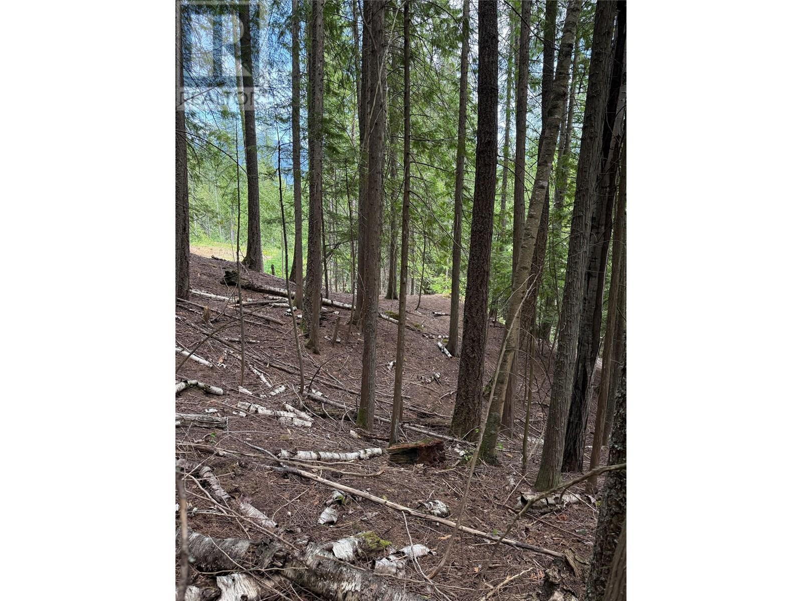 B Avenue Lot# 16,17,18, Kaslo, British Columbia  V0G 1M0 - Photo 5 - 10355829