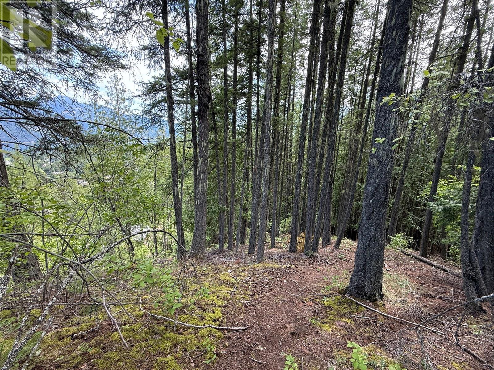A Avenue Lot# 6-8, Kaslo, British Columbia  V0G 1M0 - Photo 1 - 10355822