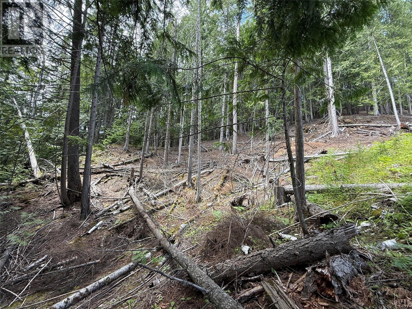 A Avenue Lot# 6-8, Kaslo, British Columbia  V0G 1M0 - Photo 2 - 10355822
