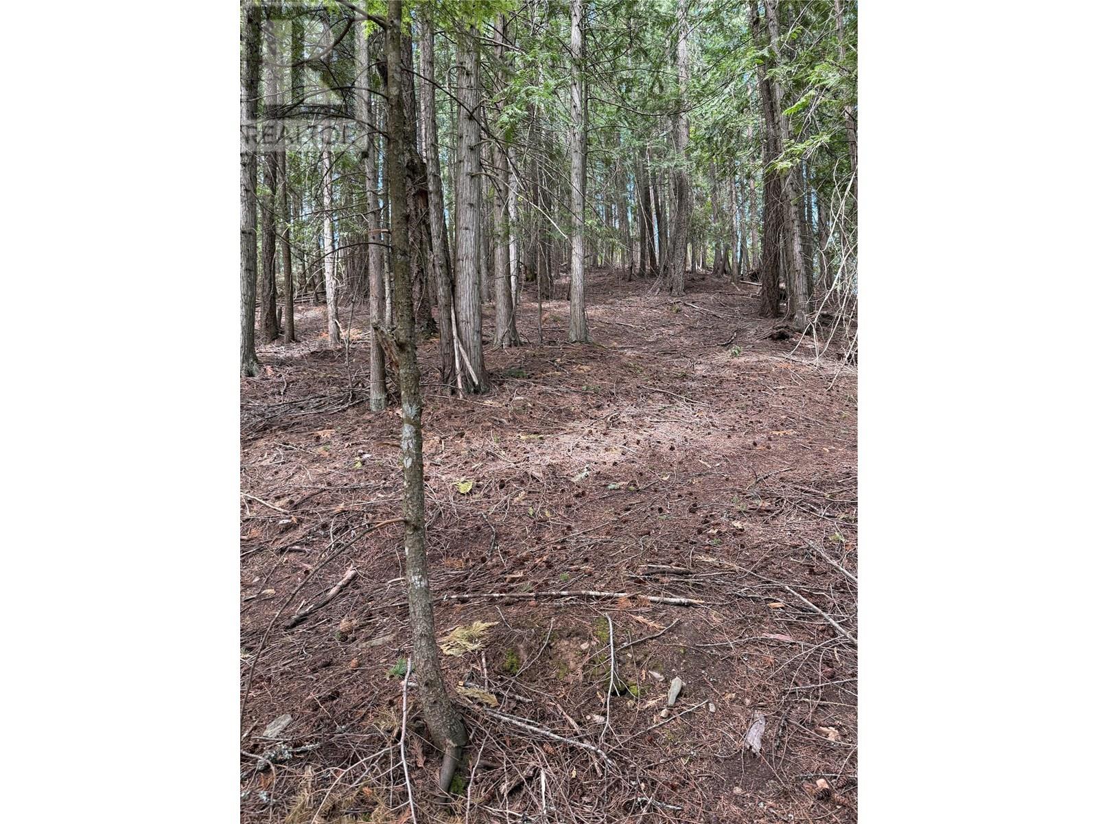 A Avenue Lot# 6-8, Kaslo, British Columbia  V0G 1M0 - Photo 3 - 10355822