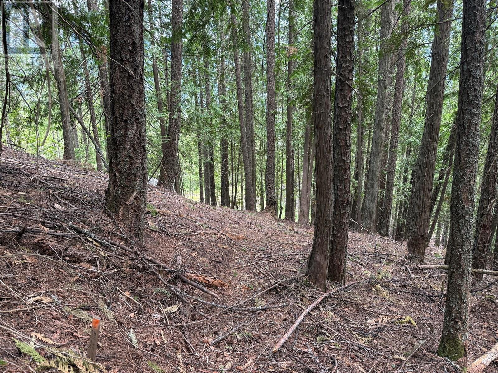 A Avenue Lot# 6-8, Kaslo, British Columbia  V0G 1M0 - Photo 5 - 10355822