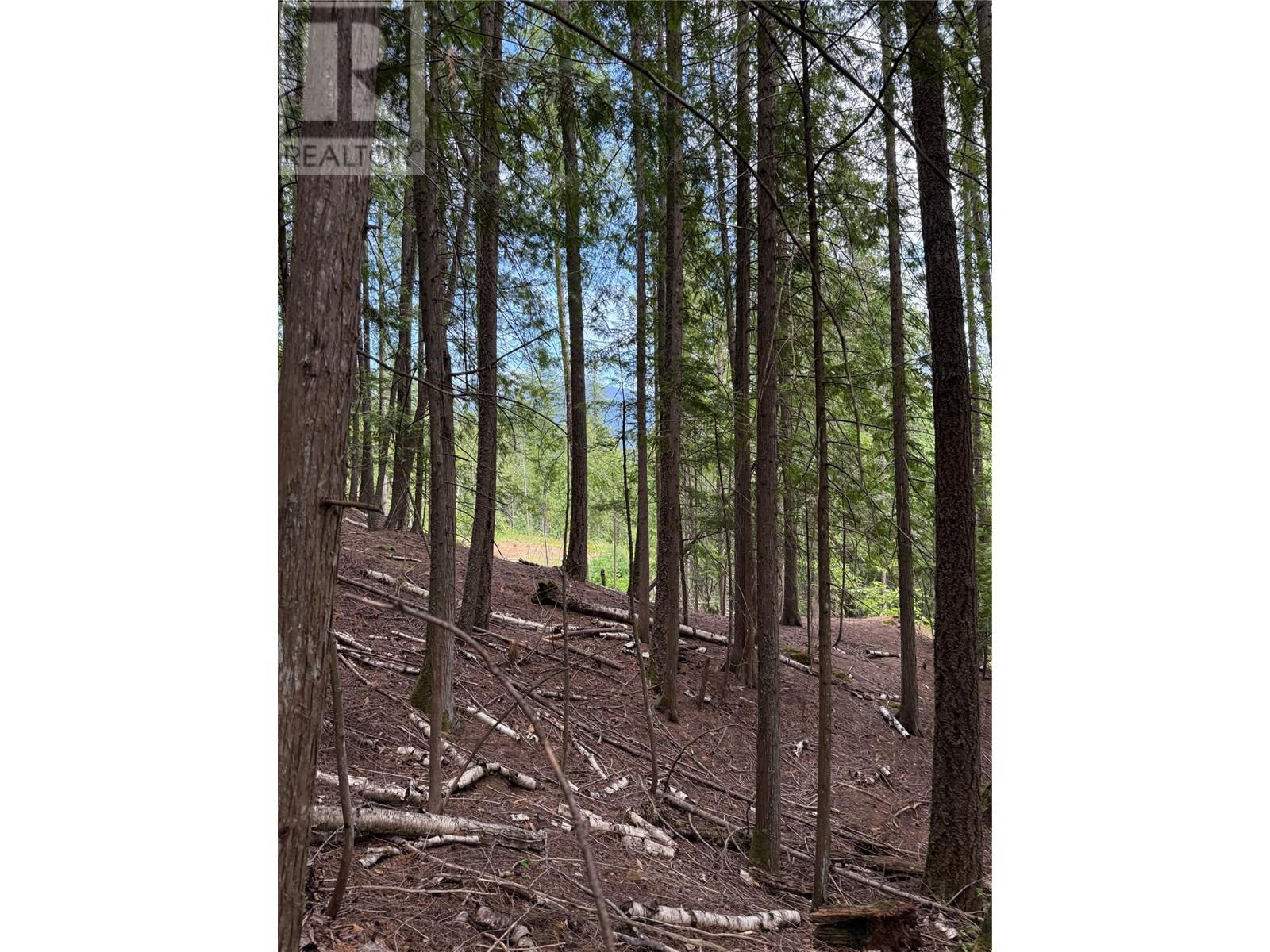 A Avenue Lot# 6-8, Kaslo, British Columbia  V0G 1M0 - Photo 7 - 10355822