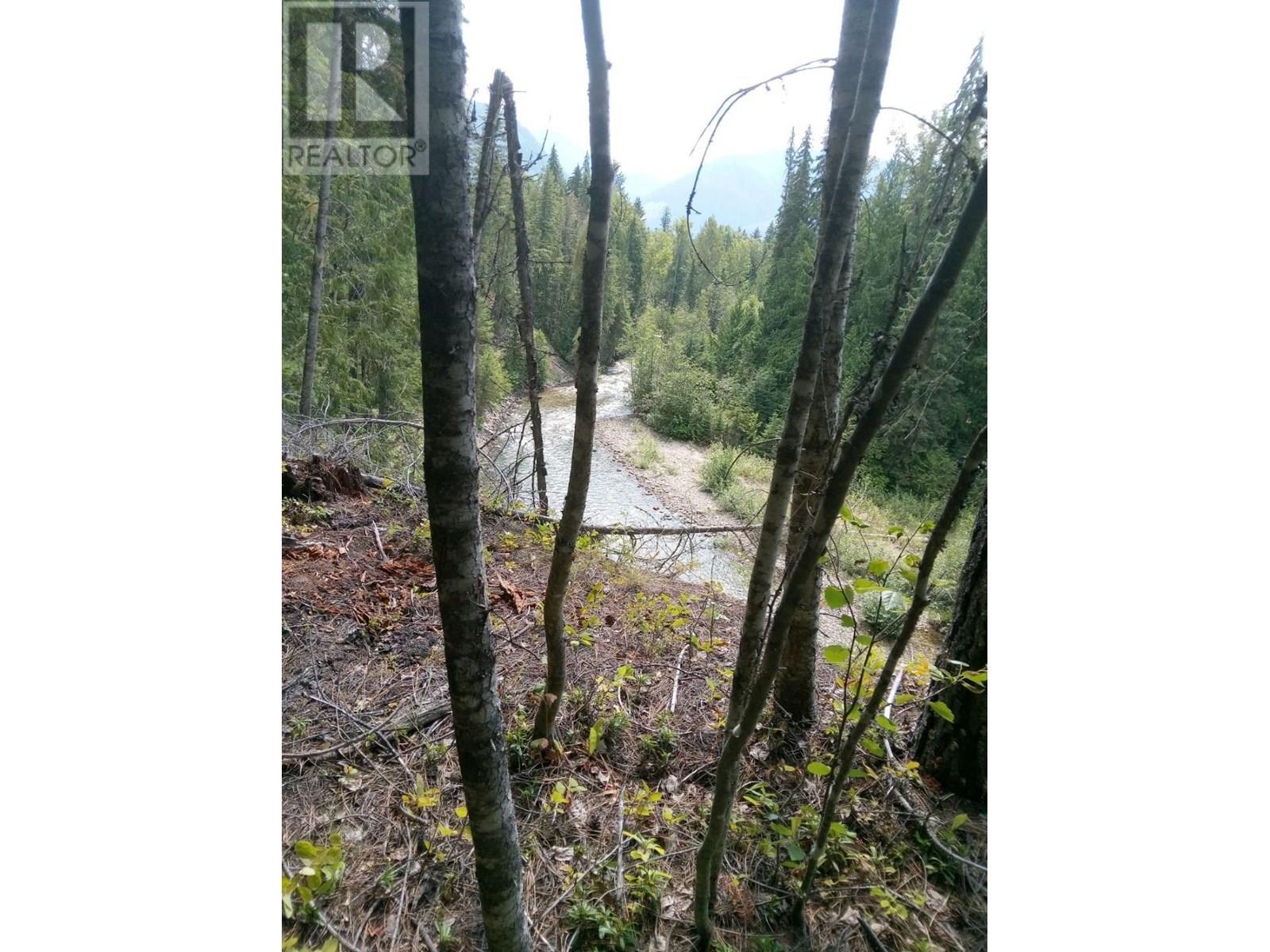 339 Mccormack Road, Burton, British Columbia  V0G 1E0 - Photo 20 - 10356159