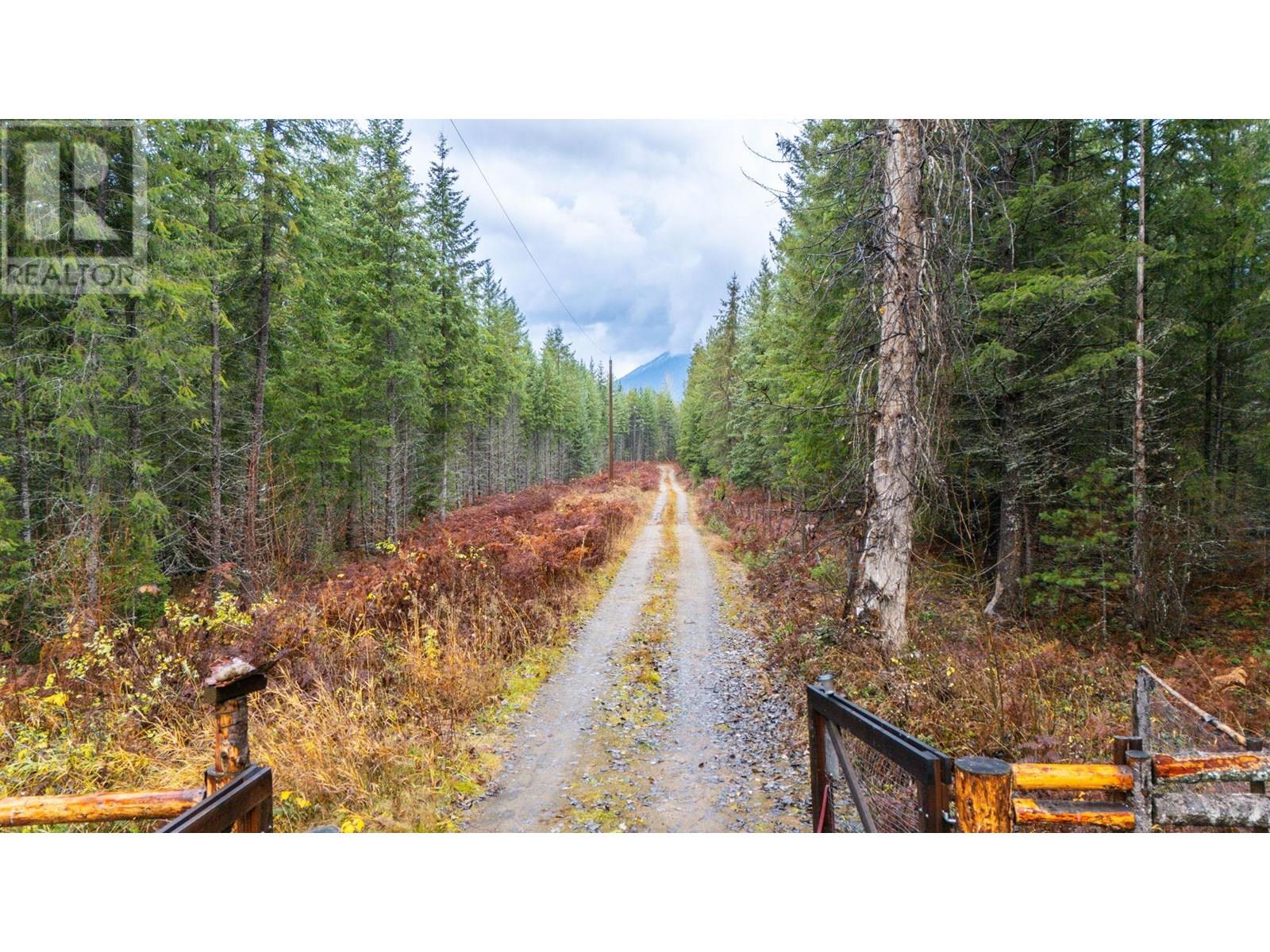 339 Mccormack Road, Burton, British Columbia  V0G 1E0 - Photo 5 - 10356159