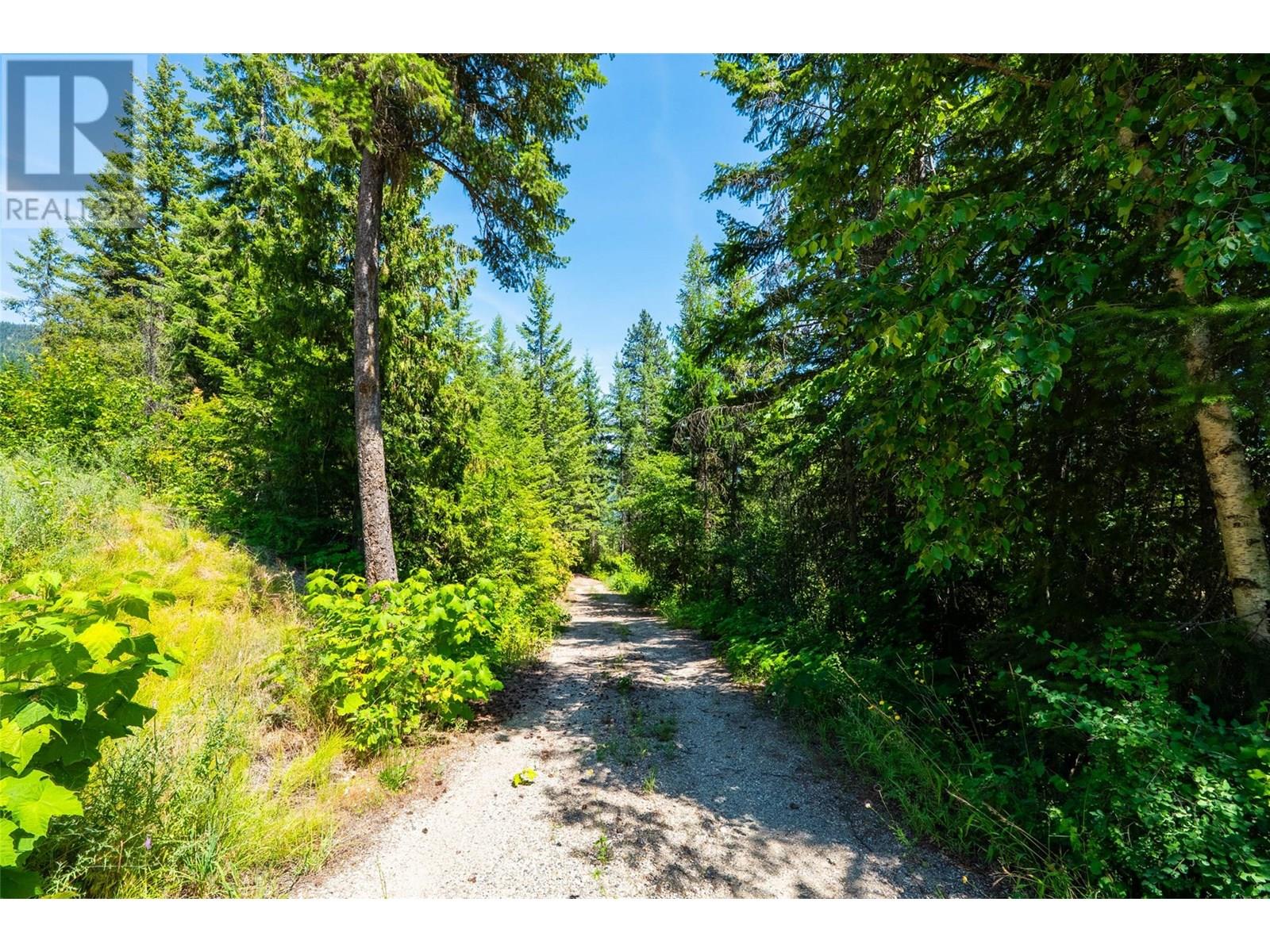 4583 Falls Creek Road, Nelson, British Columbia  V0G 2G2 - Photo 12 - 10356029